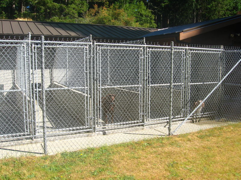 17Kennel Dog Runs