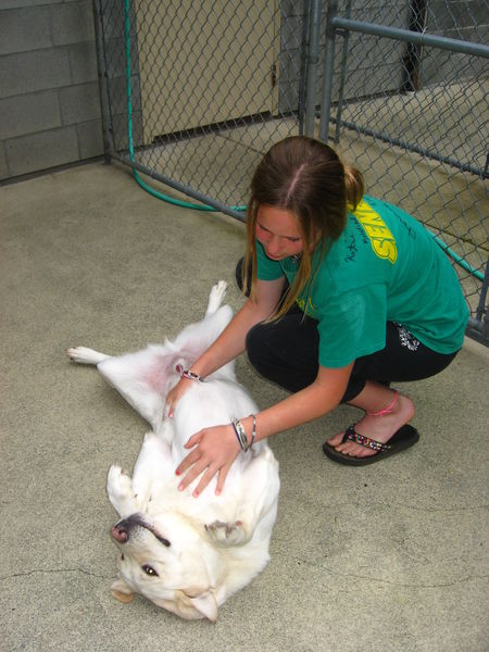 70Jen with Dog in Exercise Pen