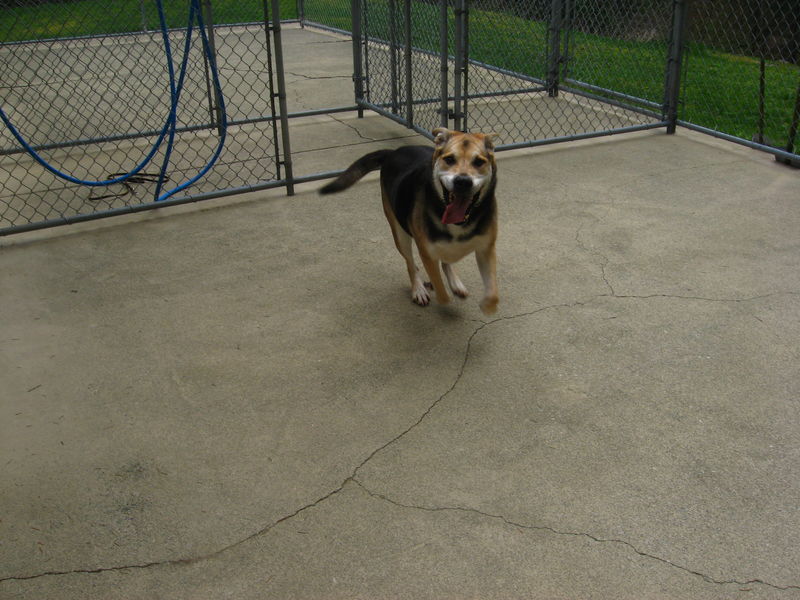 45Riley in Exercise Pen