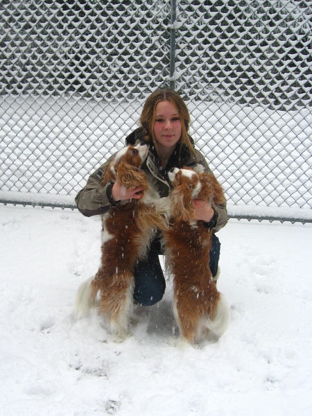 59Two Cavaliers in Snow